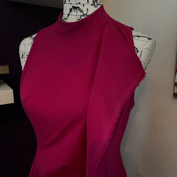 Rachel Roy Sleeveless Fuchsia Dress NWT - Picture 2 of 9